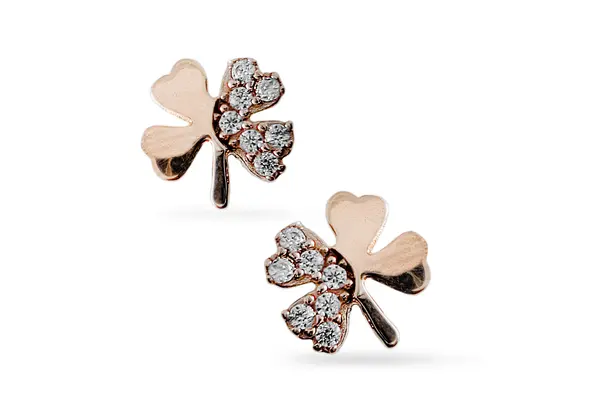 Gold earrings - Cloves