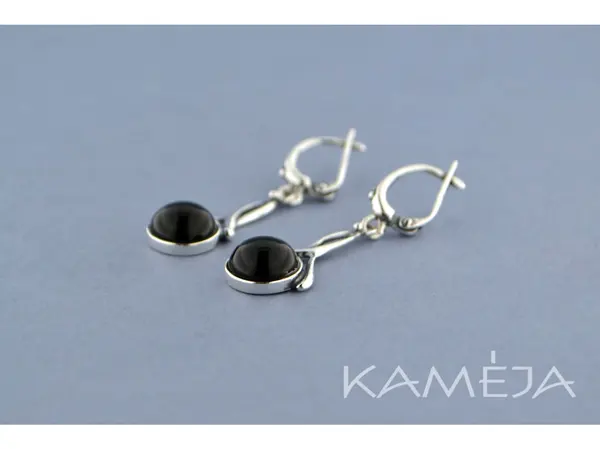 Earrings with black onyx A1789300510