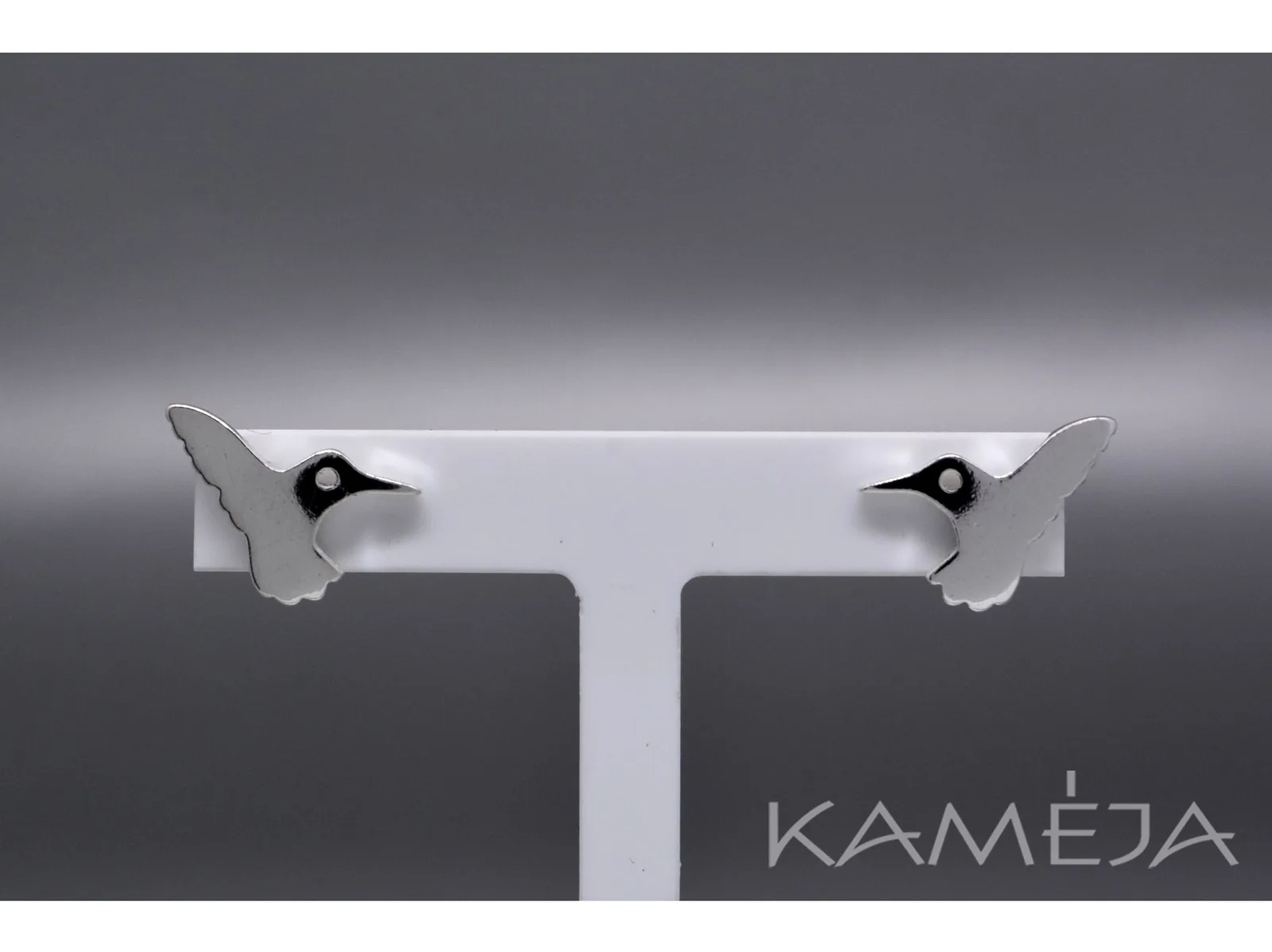 Sterling Silver Earrings A2820500120