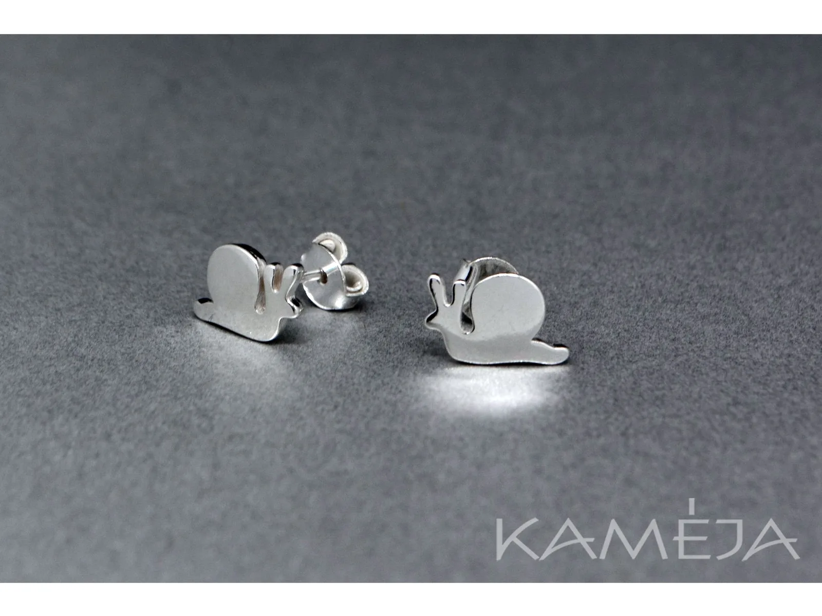 Sterling Silver Earrings A2784500140