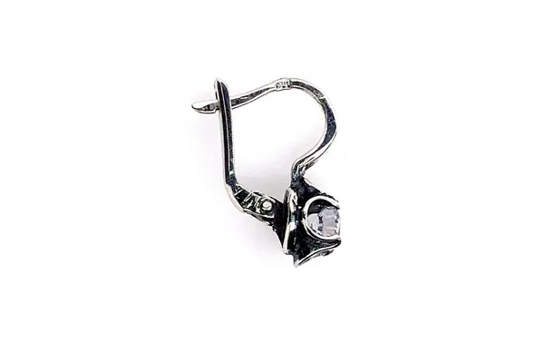 Earrings with Cubic Zirconia A2671400300