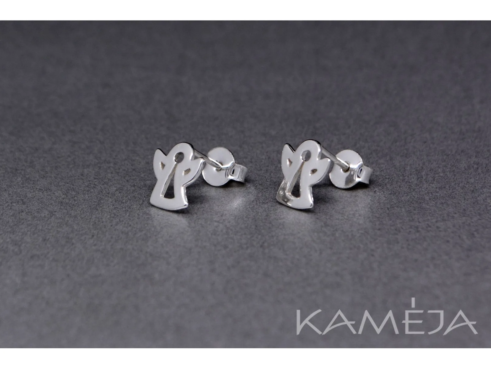 Sterling Silver Earrings A2818500100