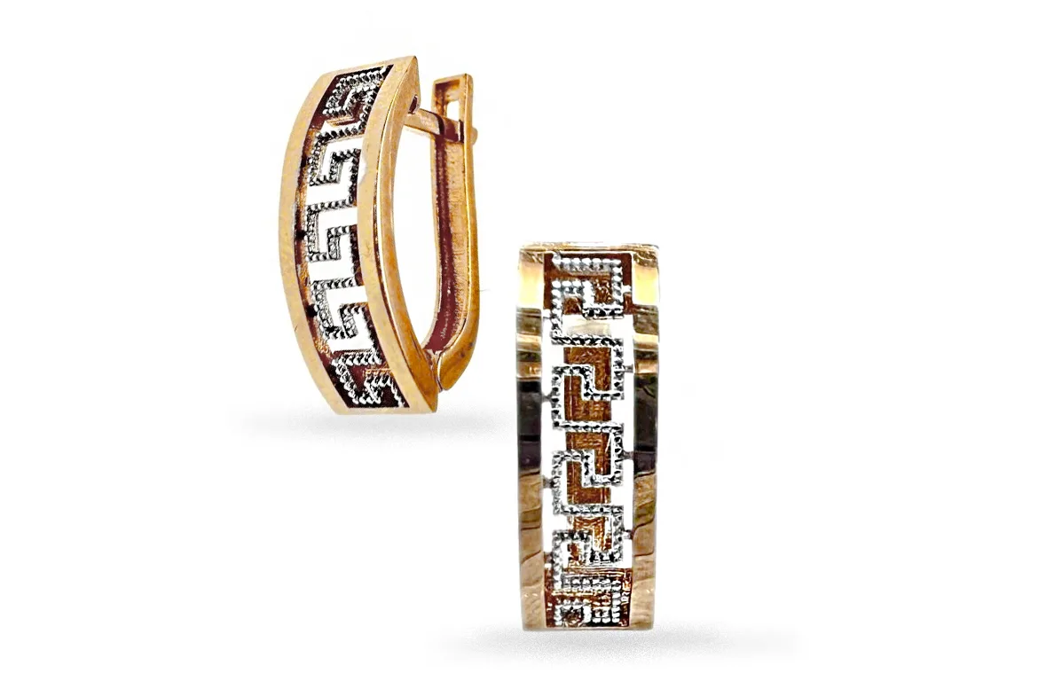 Red gold earrings A09024973