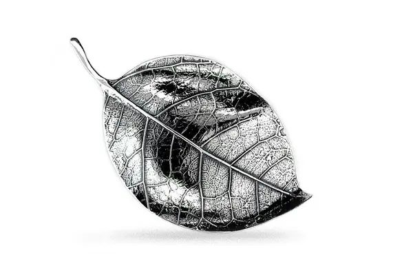 Brooch SA275301260