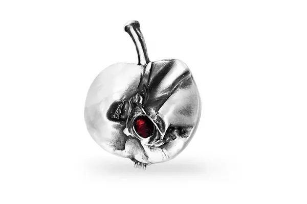 Silver Brooch SA357401150