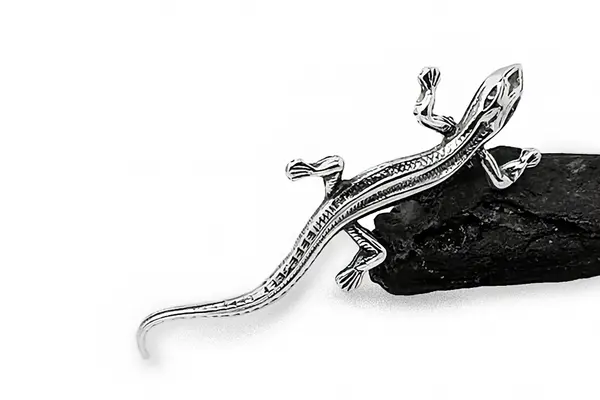 Silver brooch - Salamander