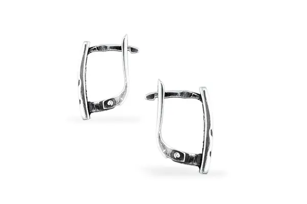 Sterling Silver Earrings A755350190