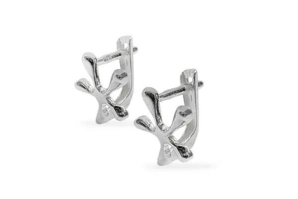 Silver earrings - Spot