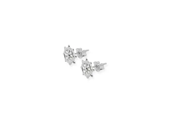 Silver earrings - Circles
