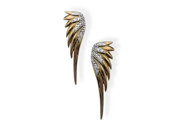 Silver earrings - Wings
