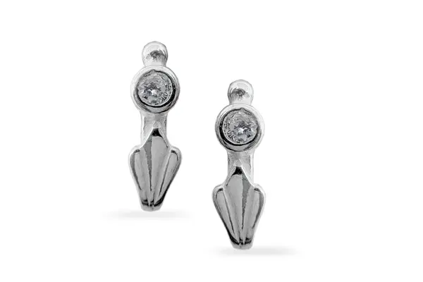 Silver earrings with Zircon