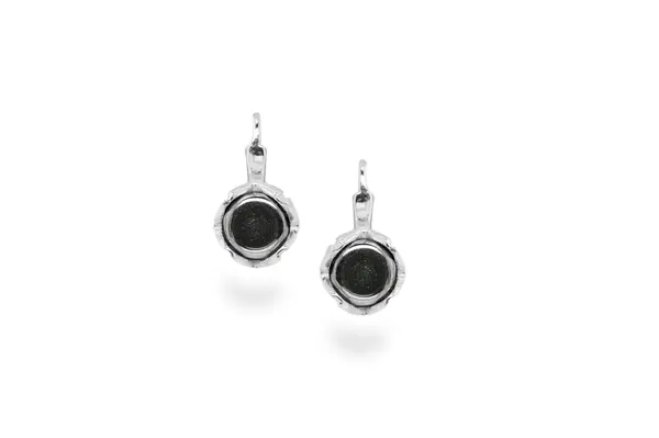 Silver earrings with Hematite