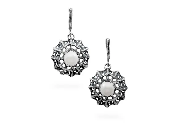 Silver earrings - Web