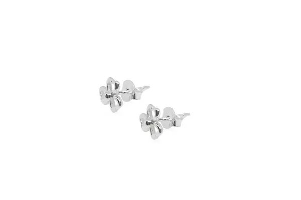 Silver earrings - Flowers