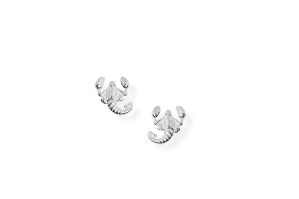 Silver earrings - Scorpions