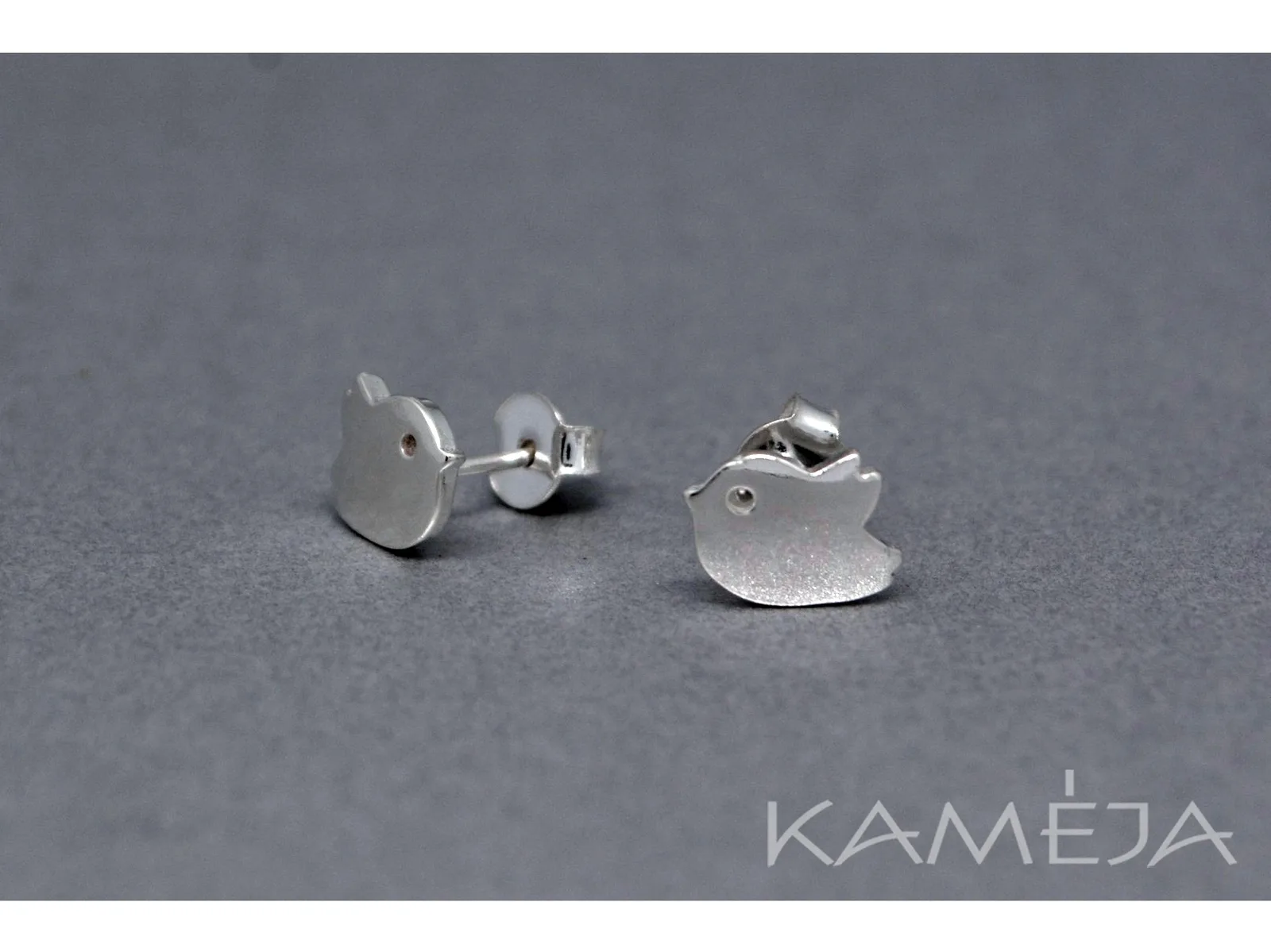 Sterling Silver Earrings A2782500120