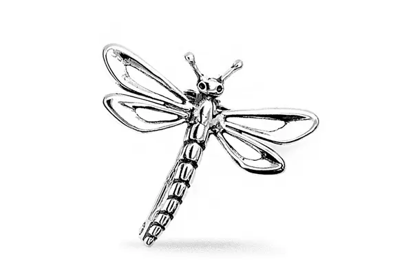 Silver Dragonfly Brooch SA84400210