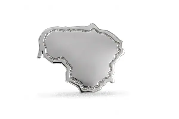 Silver pin “Lithuania”