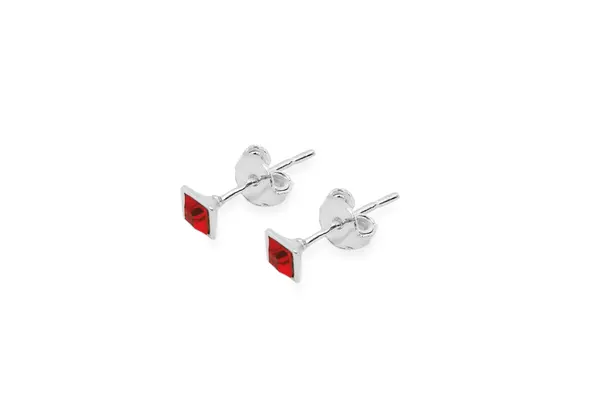 Silver earrings wit Crystal