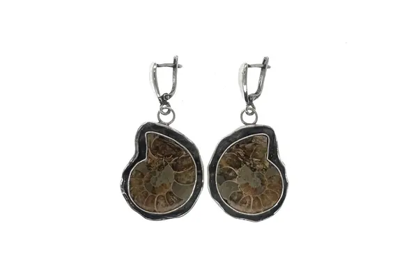 One-of-a-kind earrings with Ammonite