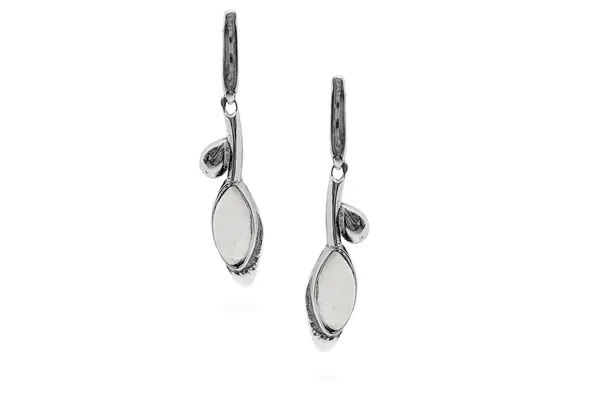 Exclusive earrings - Water drop